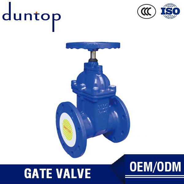 Gate Valves