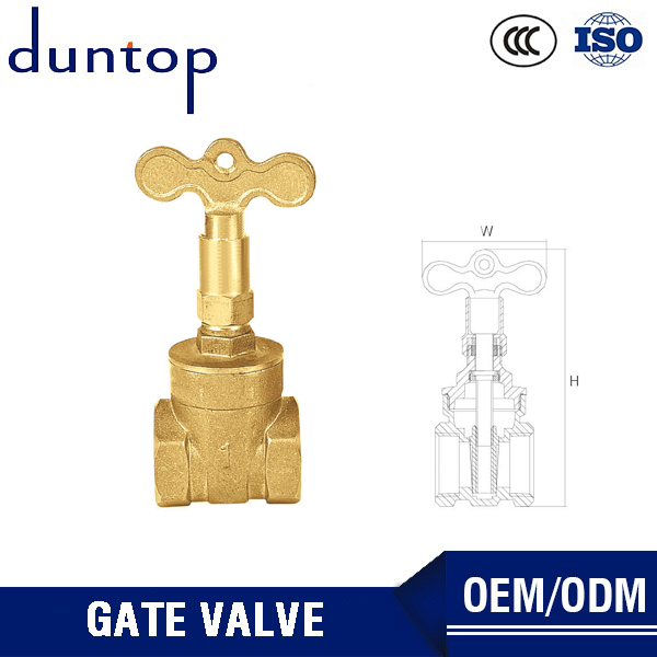 Fire gate valve with key