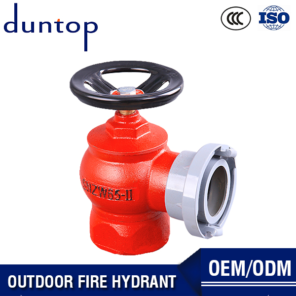 Fire Hydrant Landing Valve Parts Hose Outdoor Fire Hydrant