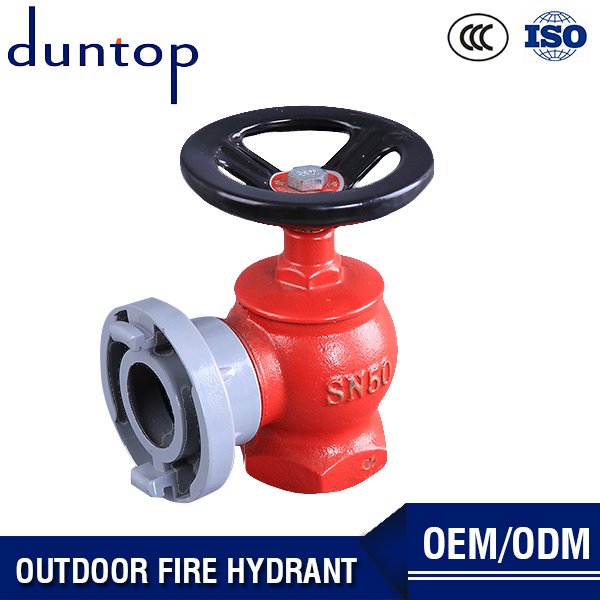 Fire Hydrant Stand Pipe Type Outdoor Fire Hydrant Landing Valve