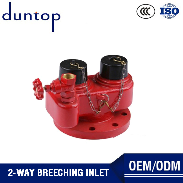 Gate Valve Hydrant Fire Water Dividers 2 Ways Breeching Inlet