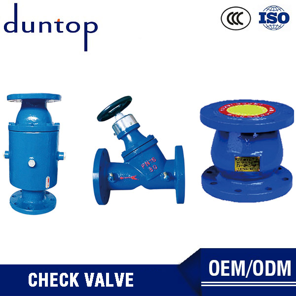 High Pressure Soring Water Meter Nozzle Check Valve