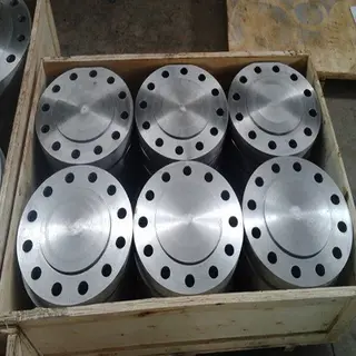 Blind Flange 12Inch 150LB RF ASME B16.5 Carbon Steel A694 F60