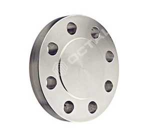 blind flange