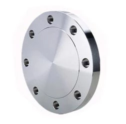 20” ASME 300# RF Blind Flange