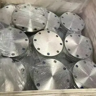 ASTM A105 Carbon BL Flange 20 Inch 300LB Forged Galvanized