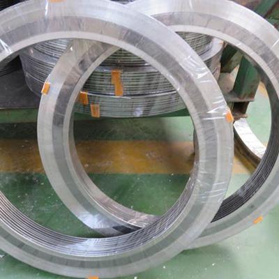 ASME B16.20 CS Outer Ring SS304 Inner Ring Spiral Wound Gasket 24 Inch