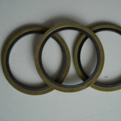 Duplex 2205 Spiral Wound Gasket 12 Inch THK 0.125 Inch 600#
