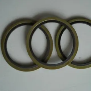 Duplex 2205 Spiral Wound Gasket 12 Inch THK 0.125 Inch 600#