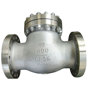 ASTM A351 CF3M Swing Check Valve, 10 Inch, 600LB, RF