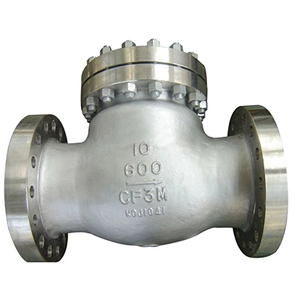 ASTM A351 CF3M Swing Check Valve, 10 Inch, 600LB, RF