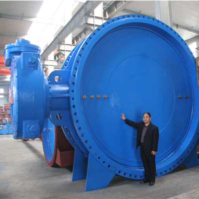 Ductile Iron Eccentric Butterfly Valve, DN2740, PN20