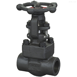 ASTM A105 Gate Valve, 2 1/2 Inch, 800#, API 602, SW