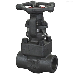 ASTM A105 Gate Valve, 2 1/2 Inch, 800#, API 602, SW