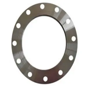 ANSI B16.5 Plate Flange, 300LB, 3 Inch, RF Ends