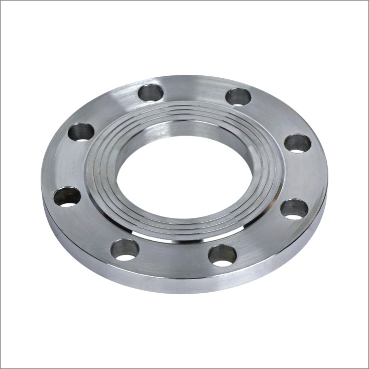 JIS B220 Slip-On RF Carbon Steel Forged Flange