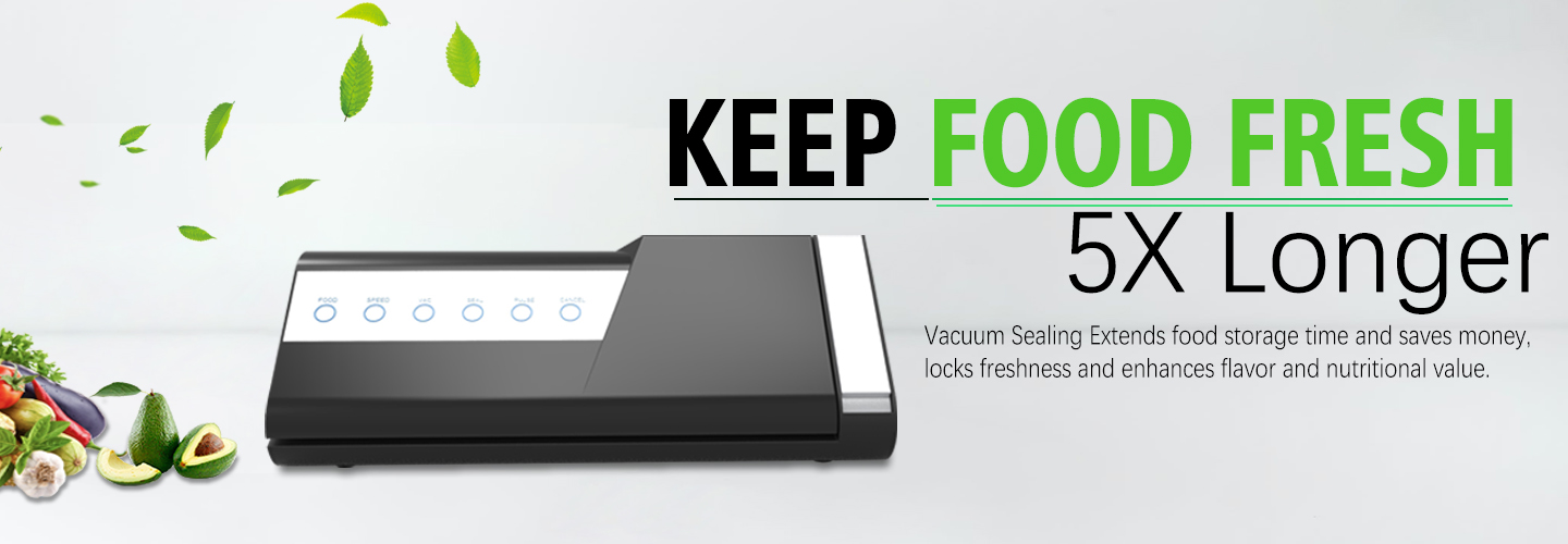 Vacuum Sealing Machine V6100