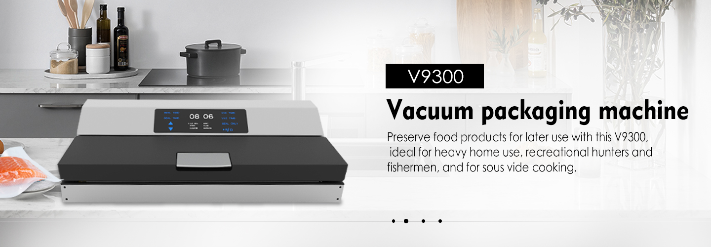 Vacuum Packaging Machine V9300