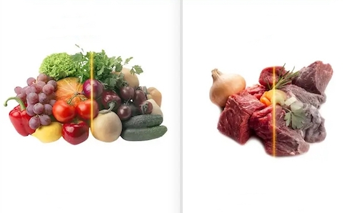 Vacuum sealing VS normal storage