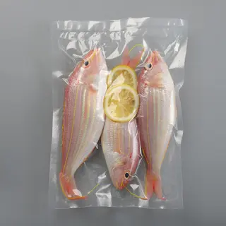 Compatible Vacuum Seal Bags