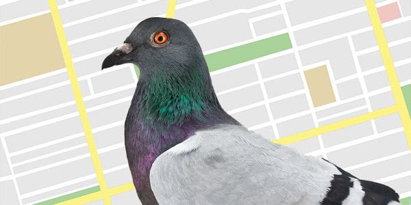 Por qué el algoritmo Google Pigeon restringe las grandes marcas locales