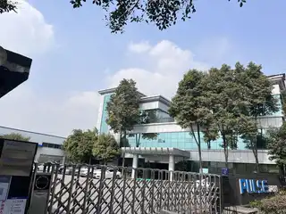 签约成都派斯光科技有限公司生物实验耗材网站谷歌优化项目