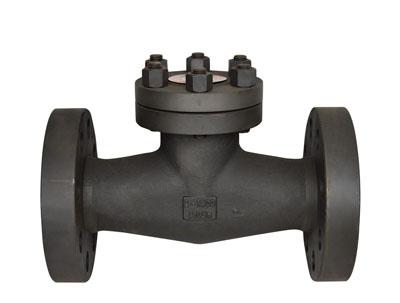 API 602 Cryogenic Piston Check Valve, 3/4 Inch, 1500LB, RF