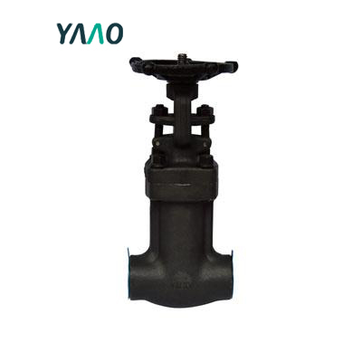 API 602 Bellow Seal Gate Valve, A105N, 3/4 Inch, 800LB