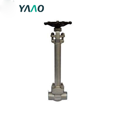 API 602 Cryogenic Gate Valve, F316, 3/4 Inch, Class 1500