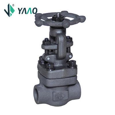 150LB-800LB Gate Valve, Bolted Bonnet, Full & Standard Port