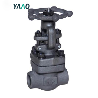 150LB-800LB Globe Valve, Bolted Bonnet, Full & Standard Port
