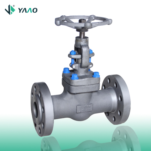 Globe Valve