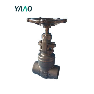 DIN 3356 Bellow Seal Globe Valve, F11, 3/4 Inch, 800LB