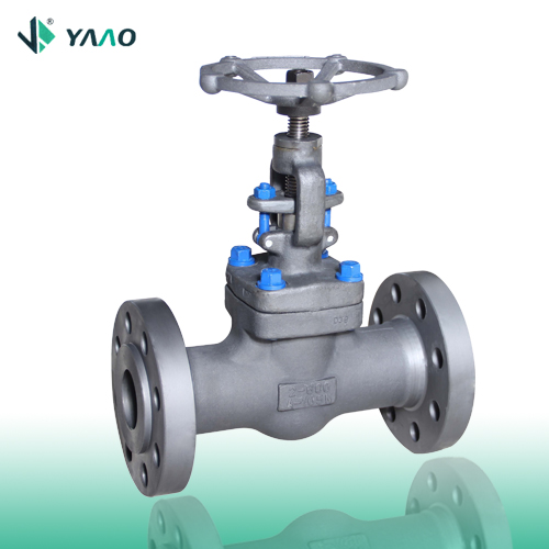 Flanged A105 FP Forged Globe Valve 1/2-4 Inch 150-2500 LB