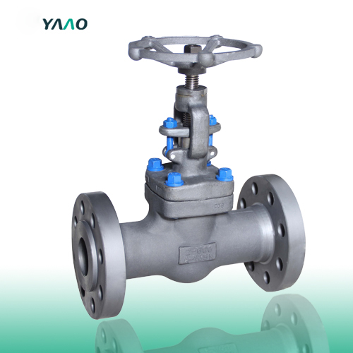 Flanged A105 FP Forged Globe Valve 1/2-4 Inch 150-2500 LB