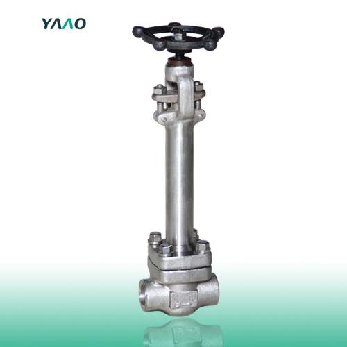 Forged Cryogenic Globe Valve SW/NPT 3/8-4 Inch 150-2500 LB