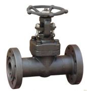 Characteristics and Installation of Forged Steel Flange Gate Valve