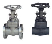 Common Types of Forged Steel valves