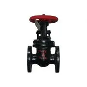 Development Prospect Analysis of Flanged Gate Valve Market