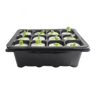 Plastic Nursery Seed  Germination Box