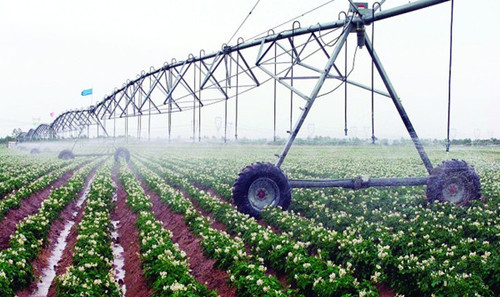 The Development of Water Soluble Fertilizer