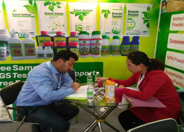 Shanghai Exhibition Booth