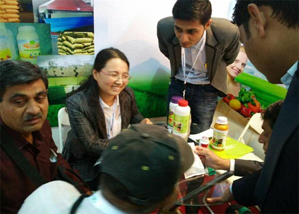 Beacon Company Exhibition Booth