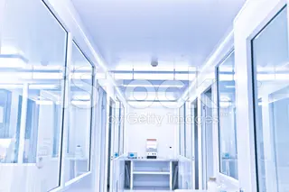 Non nostrum vitae minus animi eum omnis.