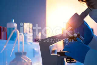 Et ipsum nesciunt vitae autem.