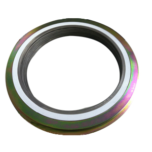 API 601 Spiral Wound Gasket, C/W SS316 Windings, PTFE Filler