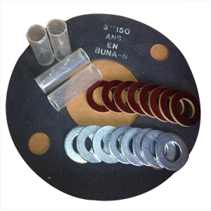 Gasket with Neoprene Faced Phenolic with Washers