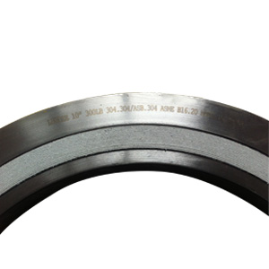 Spiral Wound Gasket with Outer & Inner Ring, JIS 20K, DN250