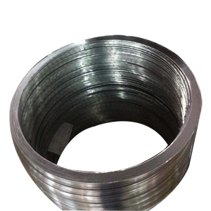 Api 601 API 601 Spiral Wound Gasket, C/W SS316 Windings, PTFE Filler - Landee