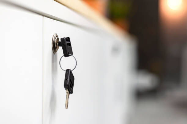 A Complete Guide to Cam Locks: Types, Mechanisms, and Selection Tips